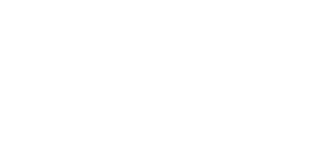 Scopa